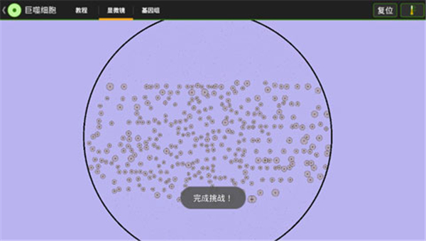 细胞实验室截图5