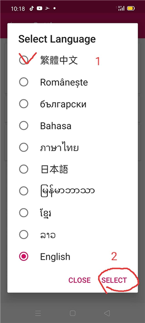 FoodPanda中文版