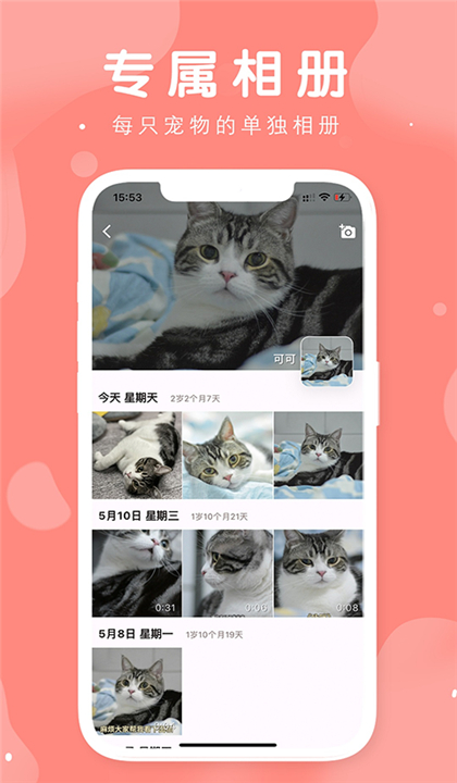 有宠截图1