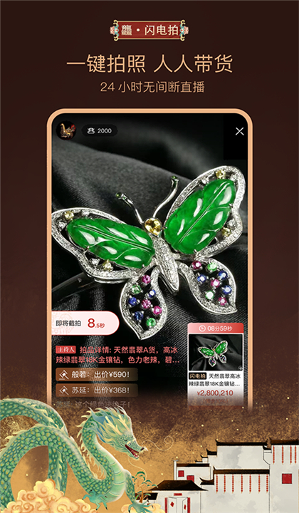 龘藏拍卖截图5