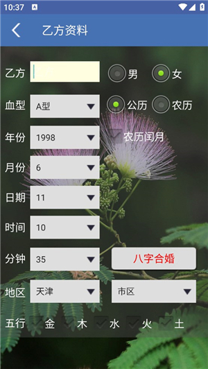 八字合婚