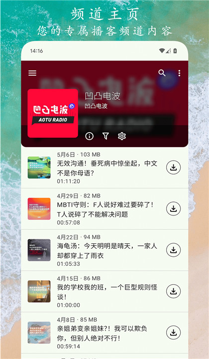 播客之音截图1