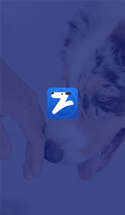 养犬执法截图1