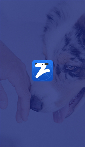 养犬执法