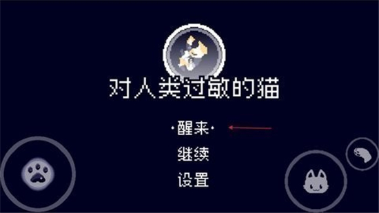 对人类过敏的猫