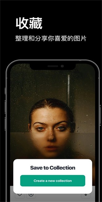 pexels视频素材app截图1