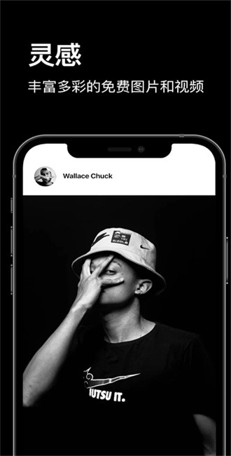 pexels视频素材app截图3