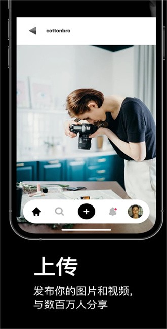 pexels视频素材app截图4