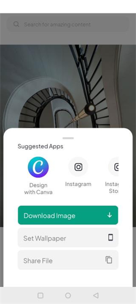 pexels视频素材app