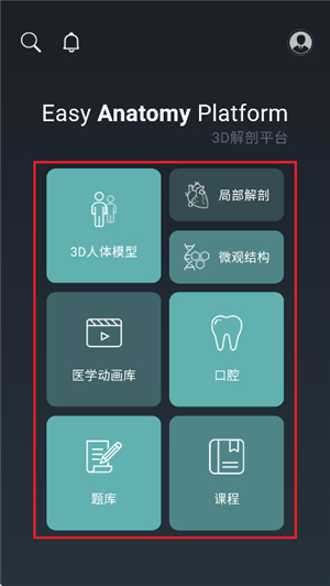 Easy解剖