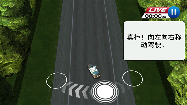 亡命威龙中文版