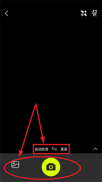 万能翻译君app