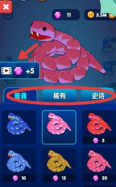 蛇蛇风暴