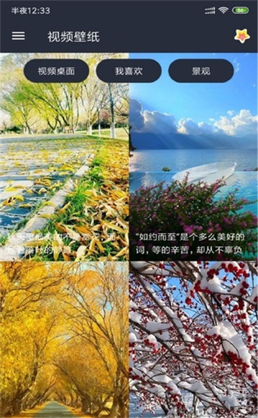视频壁纸app截图4