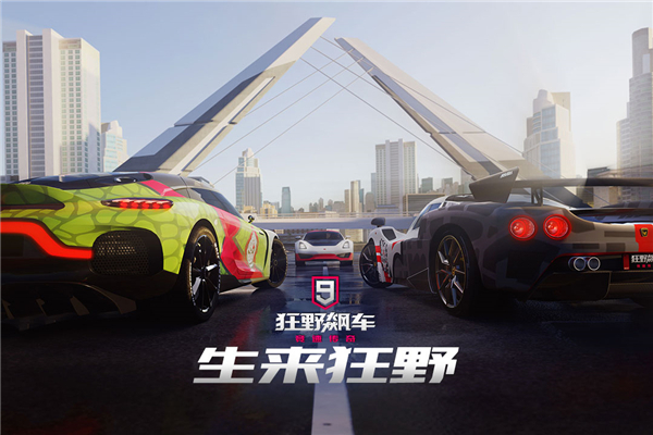 狂野飙车9手机版截图2