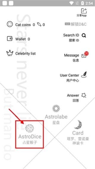 占星猫电子塔罗