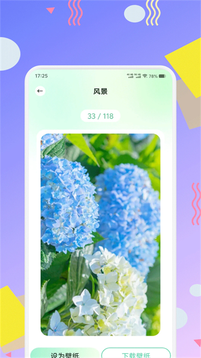 荷花壁纸超清手机版截图2