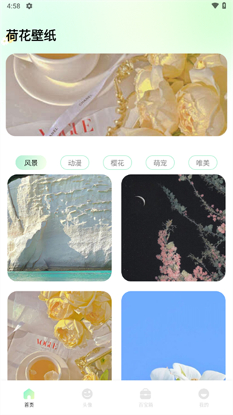 荷花壁纸超清手机版