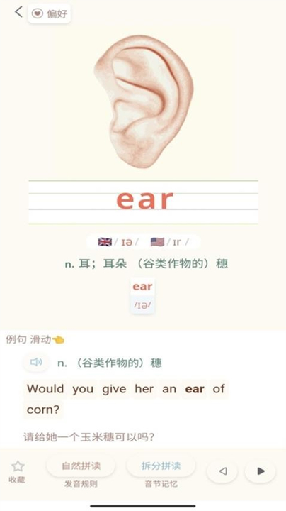 轻记单词app截图2