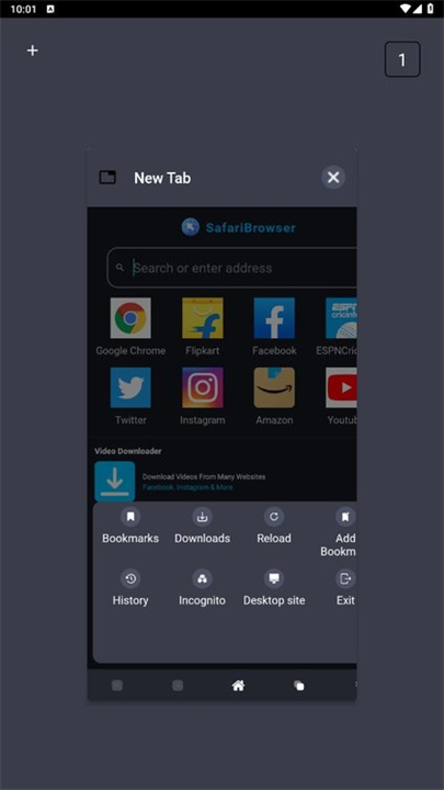 safari浏览器手机版截图2
