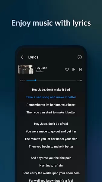 LarkPlayer手机版截图2