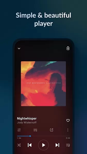 LarkPlayer手机版截图4