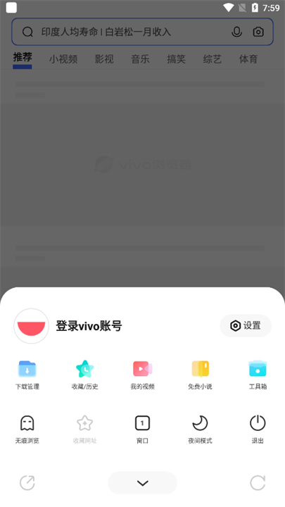 vivo手机浏览器截图2