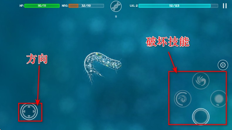 细胞起源