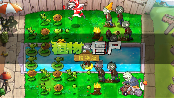 植物大战僵尸精华版安卓截图3