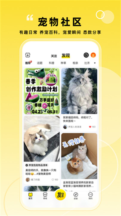 宠胖胖软件截图3