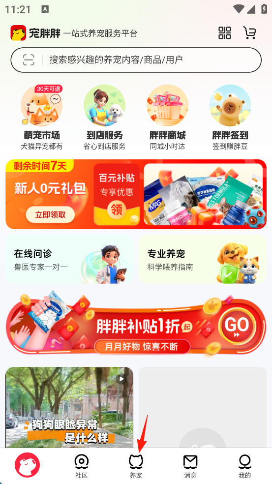 宠胖胖软件