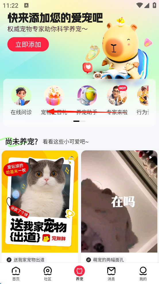 宠胖胖软件