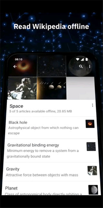 维基百科中文版截图3