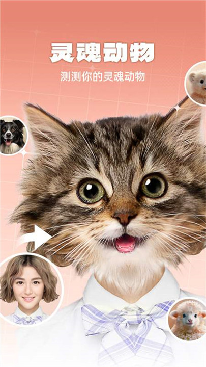 灵魂宠物app截图3