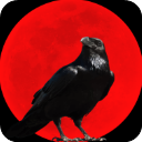 乌鸦之霜安卓版