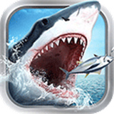 全民钓鱼旧版本