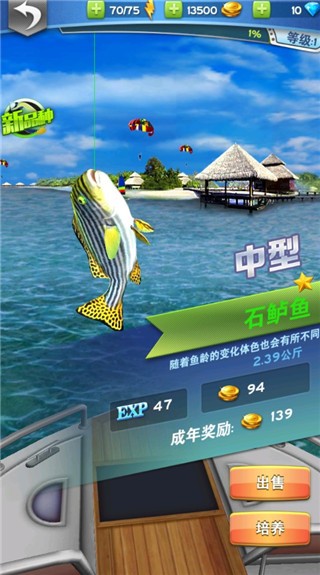 全民钓鱼旧版本