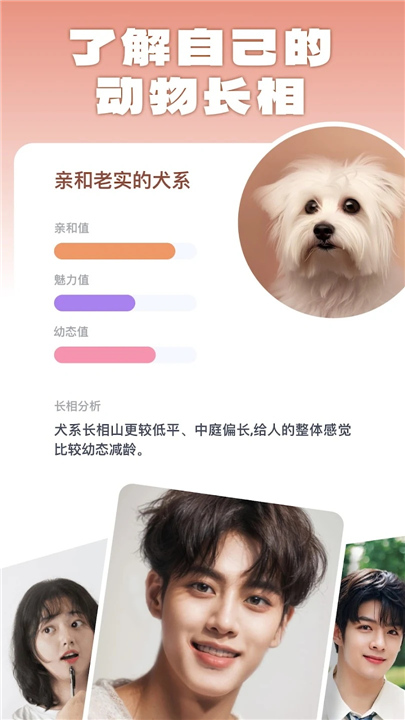 灵魂宠物手机版截图3