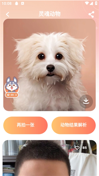 灵魂宠物手机版