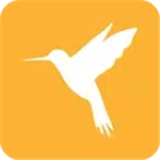 小黄鸟抓包软件