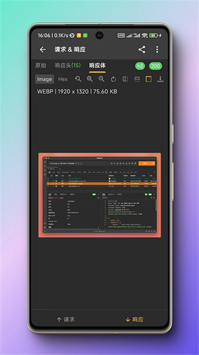 小黄鸟抓包软件截图3