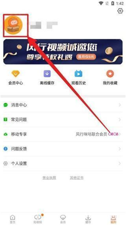 风行视频正版