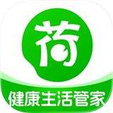 荷叶健康最新版