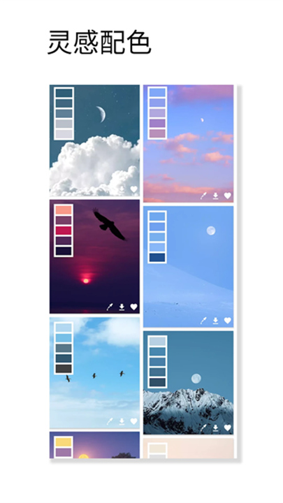 观色配色软件截图5