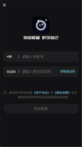AI极昼软件