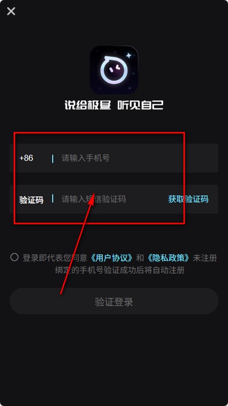AI极昼软件