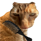 给猫梳毛游戏