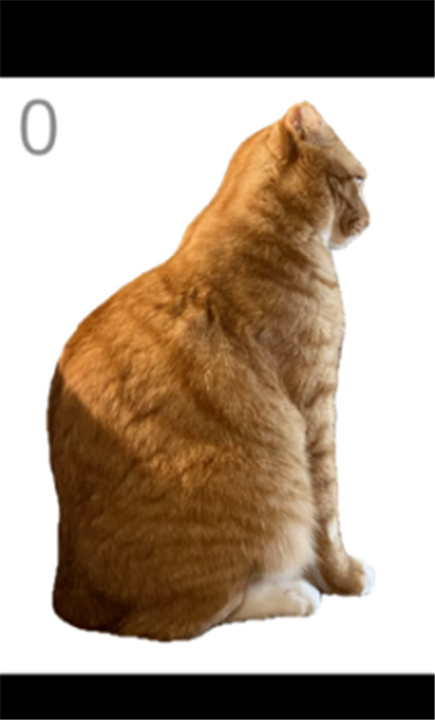 给猫梳毛游戏截图3