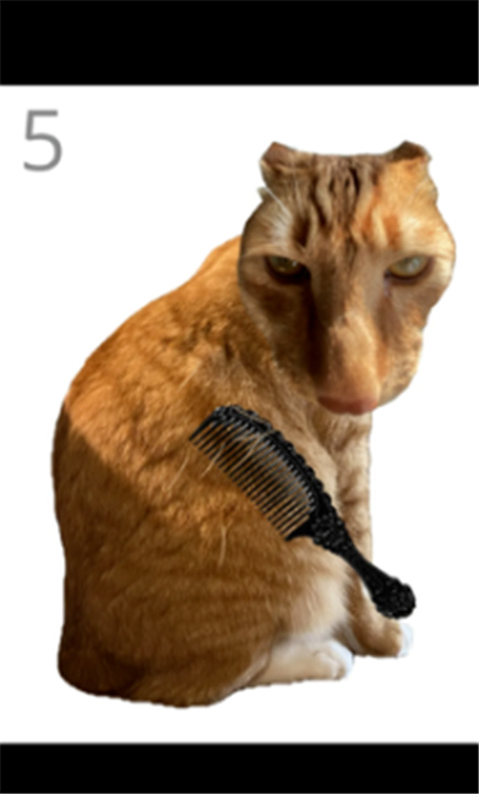 给猫梳毛游戏截图2