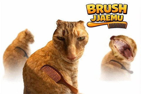给猫梳毛游戏